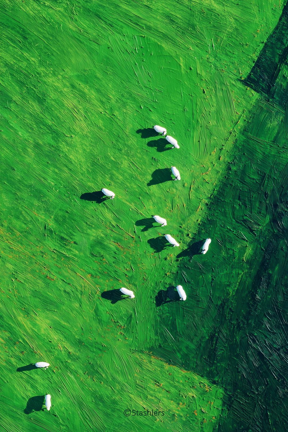 Landscape (14)_76_PT_SC2_ITAOEC FS